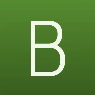 Баярд, лого-визитка