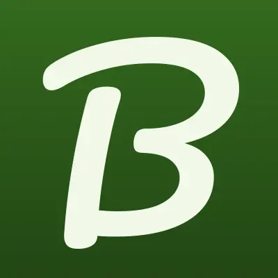 Binaepil, лого-визитка