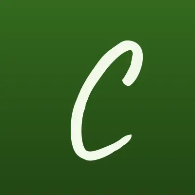 CallTraffic, контакт-центр, лого-визитка