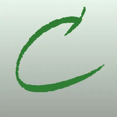 CavisPro, интернет-провайдер, лого-визитка