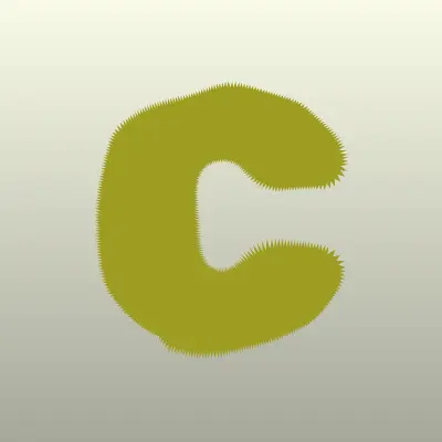 Clasna, магазин пуховиков, лого-визитка