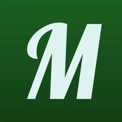 Магазин игрушек, лого-визитка