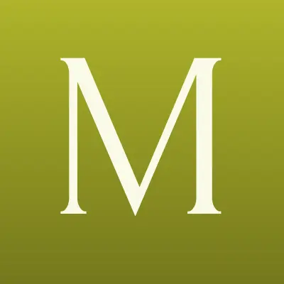 Meliorem, строительная компания, лого-визитка