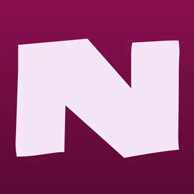 Nikvideon, компания по продаже систем видеонаблюдения, лого-визитка