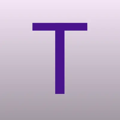 ТАЙЗЕРСТРОЙ, строительная компания, лого-визитка