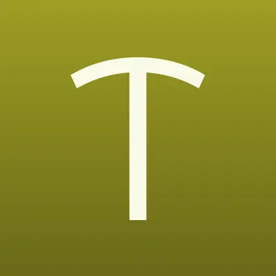 Tesla, ремонтная мастерская, лого-визитка
