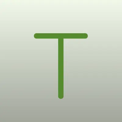 Top Store, лого-визитка