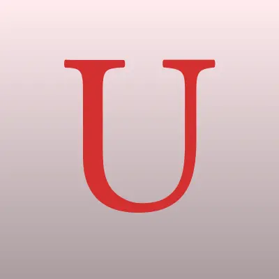 U2B, франчайзинговая компания, лого-визитка