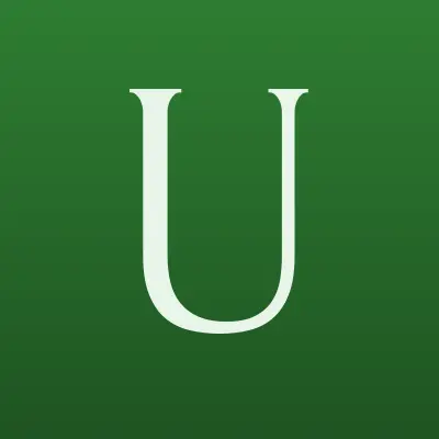 UDS-United Digital Solution, IT-компания, лого-визитка