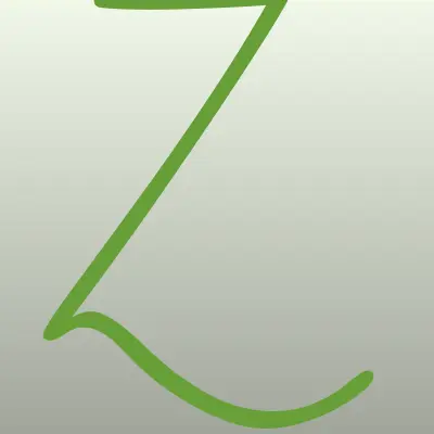ZIONICA, торгово-монтажная компания, лого-визитка